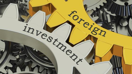 Foreign investment written on gear cogs