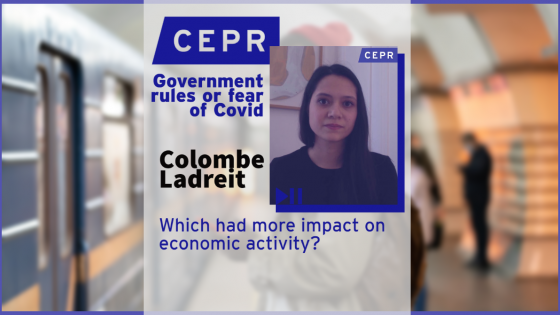 Government rules or fear of COVID? Which had more impact on economic activity?