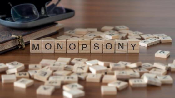 The word monopsony spelled out with tiles