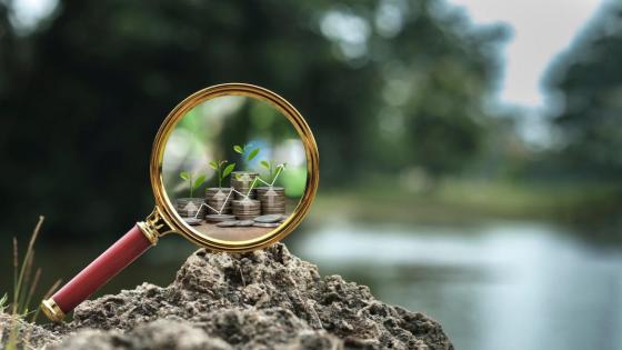A magnifying glass displays stacks of money in the mud with small shoots of green growing from them