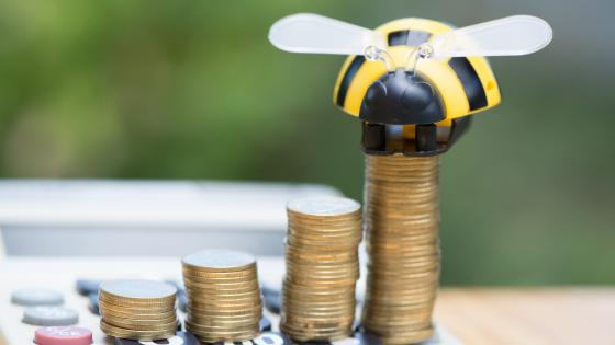 Toy bee on pile of coins