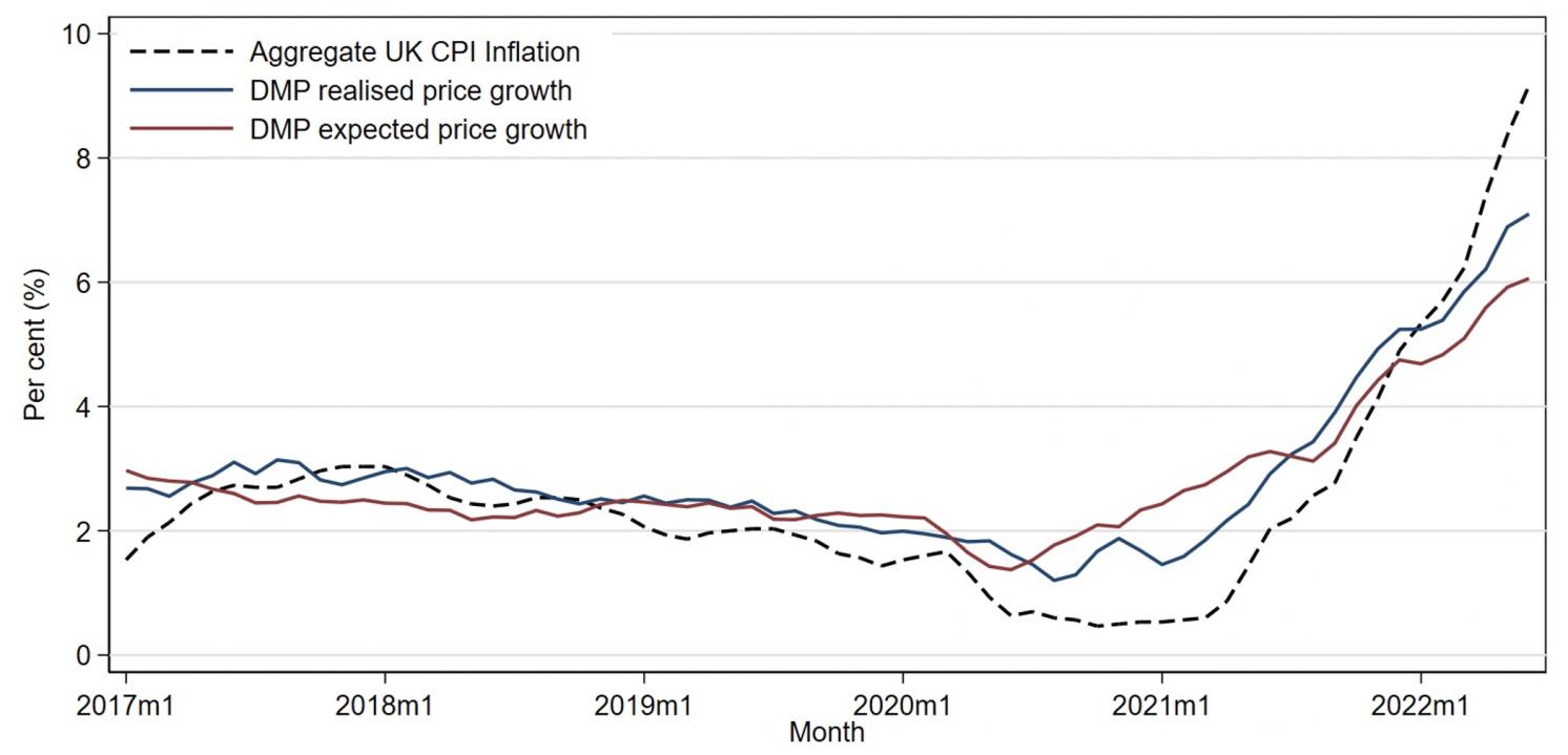 Annual firm price growth, Panel A) Realised and expected firm price growth