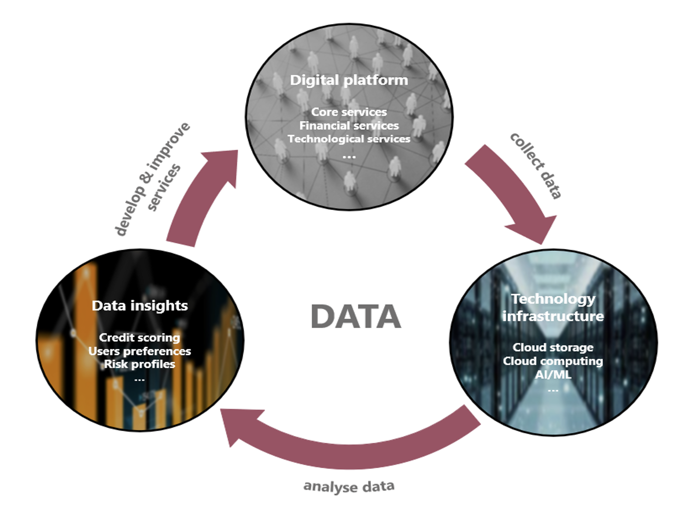 Figure 1 Big tech’s data cycle
