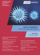 Covid Economics issue 38
