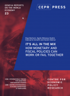 Geneva 23: It's All in the Mix: How Monetary and Fiscal Policies Can Work or Fail Together