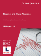 Cover image of LTI Report 3