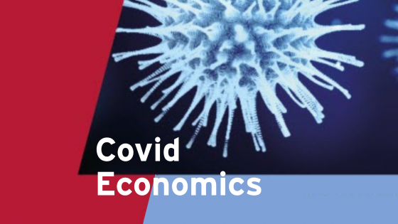 Covid Economics