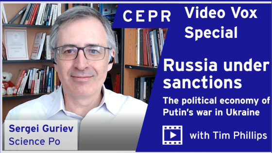 Russia under sanctions. The political economy of Putin's war in Ukraine