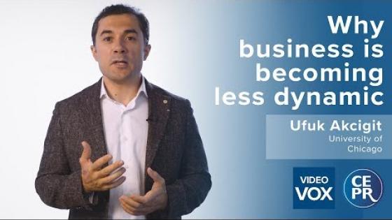 Why business is becoming less dynamic