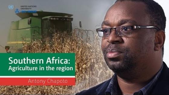 Agriculture in Zambia