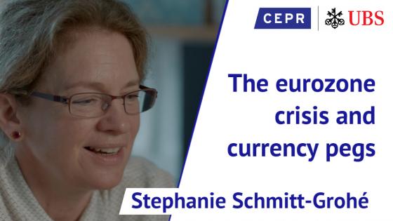 Stephanie Schmitt Grohé: The Eurozone Crisis and Currency Pegs