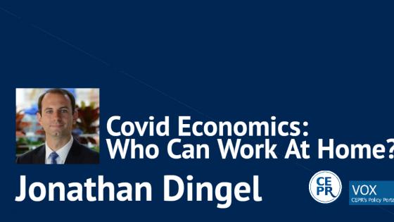 Covid Economics: Who Can Work at Home?