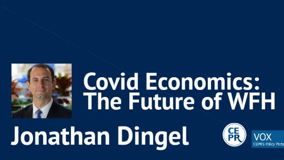 Covid Economics: The Future of WFH