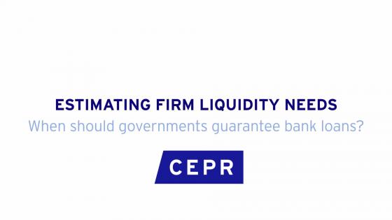 Estimating Firm Liquidity Needs: When should governments guarantee bank loans?