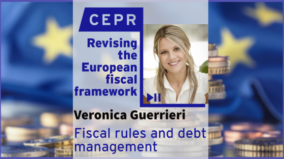 Revising the European fiscal framework. Fiscal rules and debt management