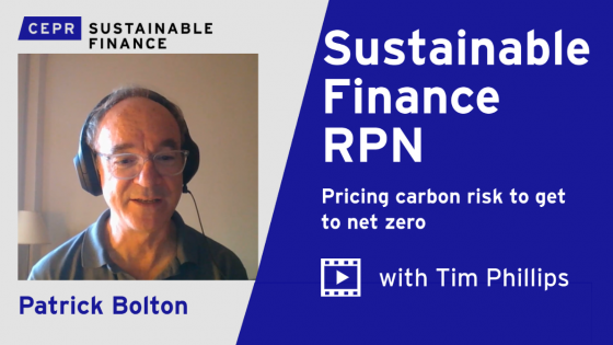 Sustainable Finance RPN. Pricing carbon risk to get to net zero