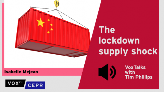 The lockdown supply shock