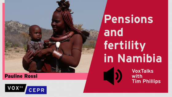 Pensions and fertility in Namibia
