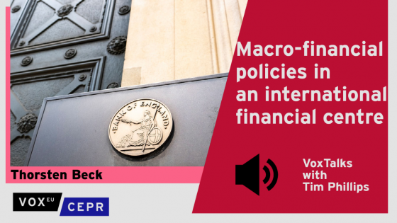 Macro-financial policies in an international financial centre