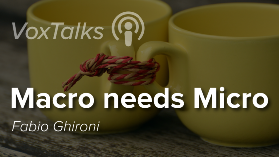 Macro needs micro