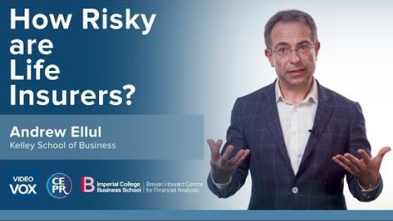 How risky are life insurers?
