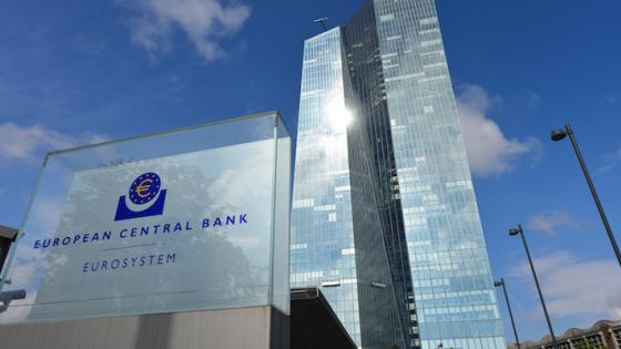 The CEPR report on the ECB strategy: A comment on the tools of monetary policy 