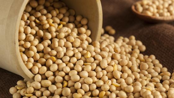First tariffs, then subsidies: Soybeans illustrate Trump's wrongfooted approach on trade