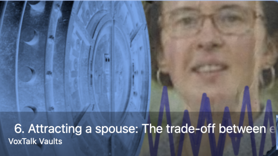 Attracting a spouse: The trade-off between earnings and physical appearance