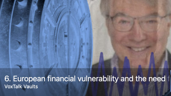 European financial vulnerability and the need for a rules-based international monetary system