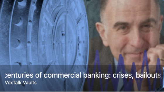Two centuries of commercial banking: crises, bailouts, mergers and regulation