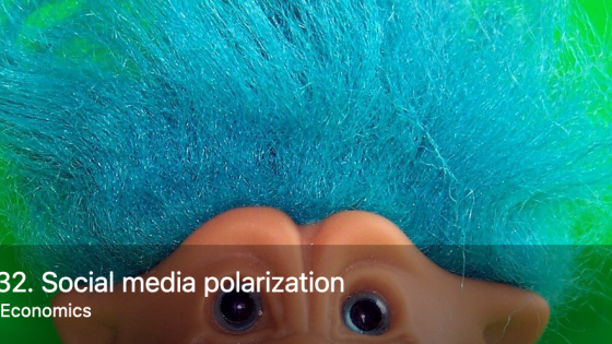 Social media polarization
