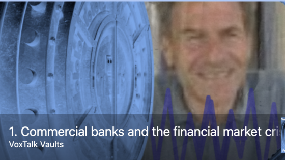 Commercial banks and the financial market crisis of 2007/2008