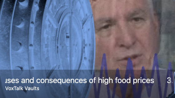 Causes and consequences of high food prices