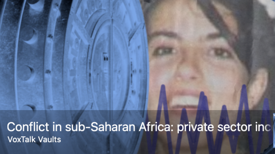 Conflict in sub-Saharan Africa: private sector incentives and impacts