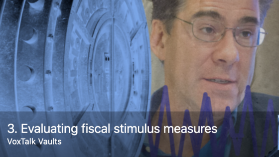 Evaluating fiscal stimulus measures