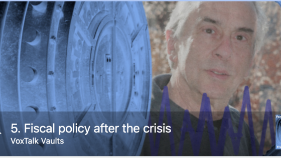 Fiscal policy after the crisis