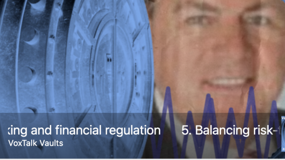 Balancing risk-taking and financial regulation