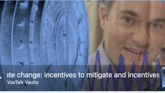Climate change: incentives to mitigate and incentives to adapt