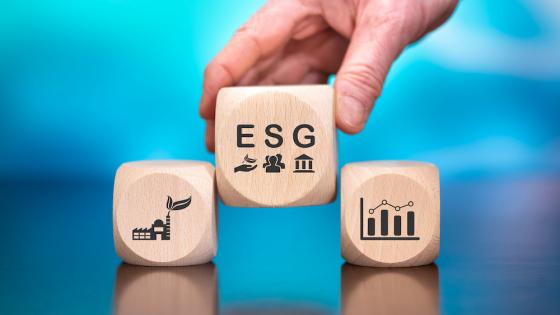 Executive compensation tied to ESG performance