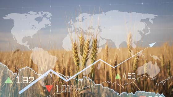 Image of wheat on top of charts and world map