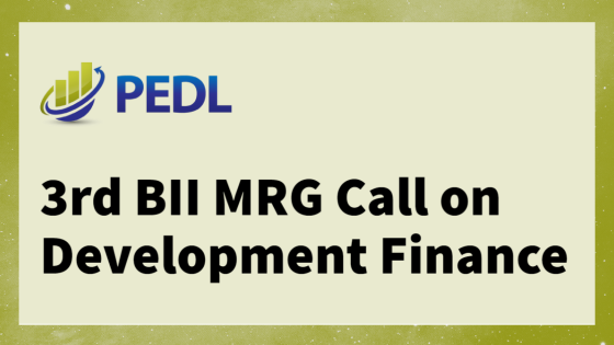 3rd BII MRG Call on Development Finance