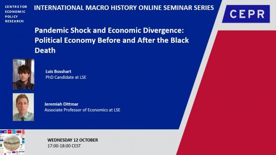 Pandemic Shock and Economic Divergence: Political Economy Before and After the Black Death