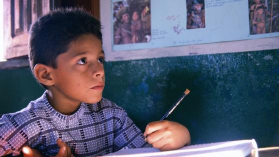 Schoolboy in Juliana in the Amazon region of Brazil near Manaus