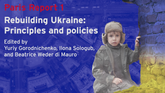 Online Launch: Rebuilding Ukraine 