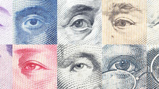 ESSIM Imagery - the eyes of famous leader on banknotes