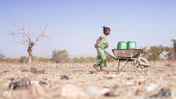 African woman transporting fresh water in wheelbarrow