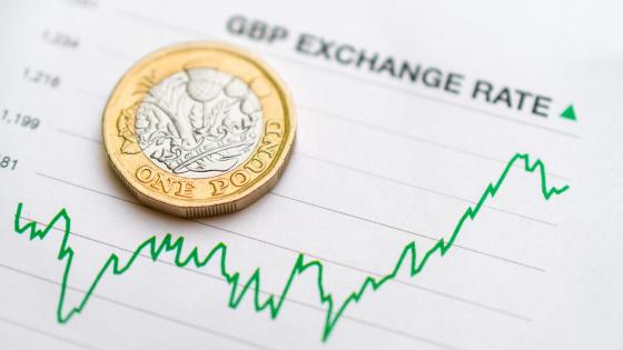 Pound exchange rate and coin