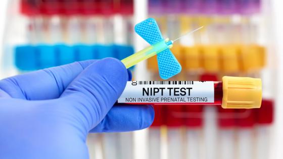 Blood tube and catheter for NIPT Non invasive Prenatal Testing