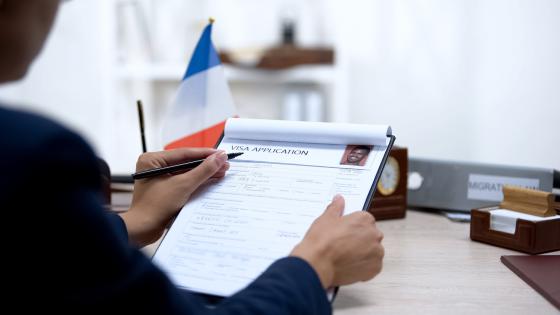 Woman checking visa application with French flag on desk