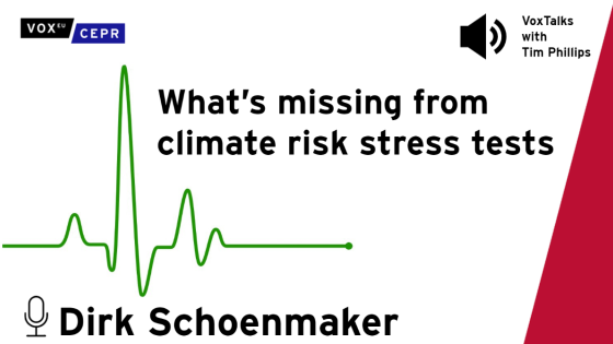 Climate risk stress tests